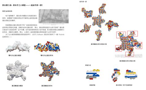 电子科技大学远程教育课程