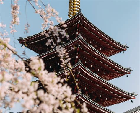 日语等级通关课程