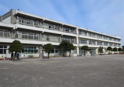 日语初级大班直播课程