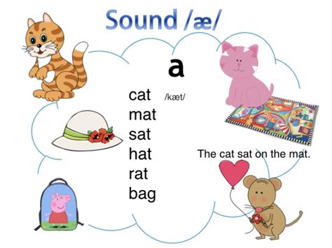 少儿英语阅读启蒙语根拼读课程