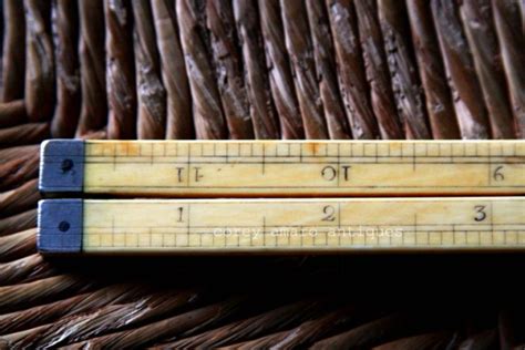 法语兴趣启蒙课程