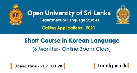 韩语能力培养课程