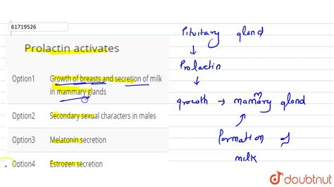 专业催乳师精品课程