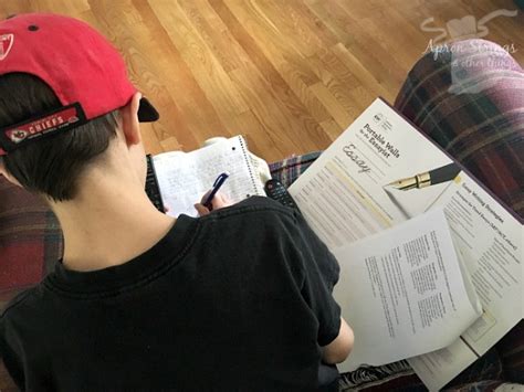 高中理综强化提升课程