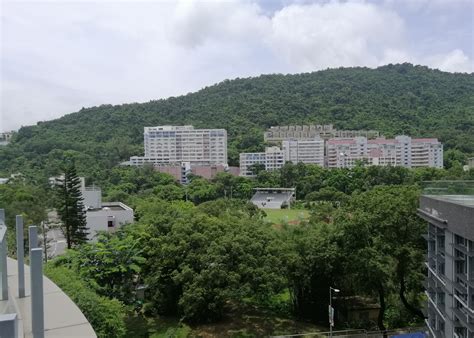 香港留学精品提升课程