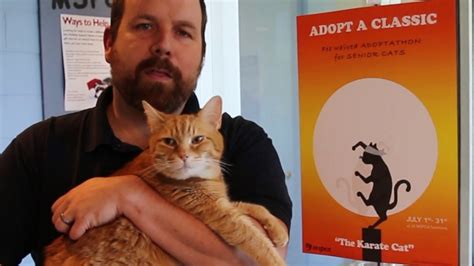 高级月嫂经典课程