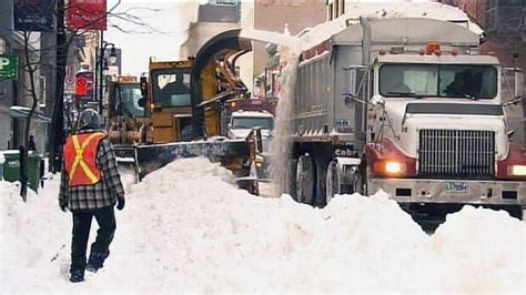 都市冰雪特种兵冬令营之雪狼行动