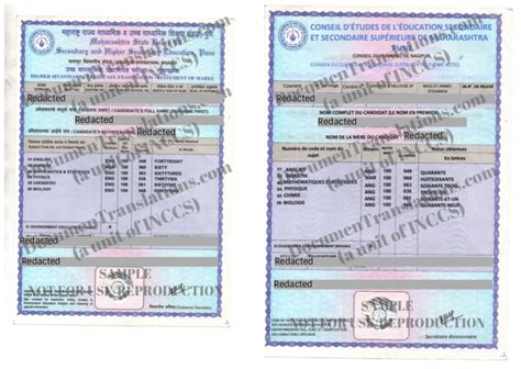 教师资格证笔试课程