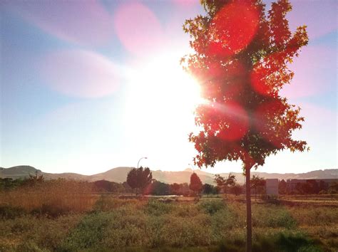 特惠阳光加州插班学习营