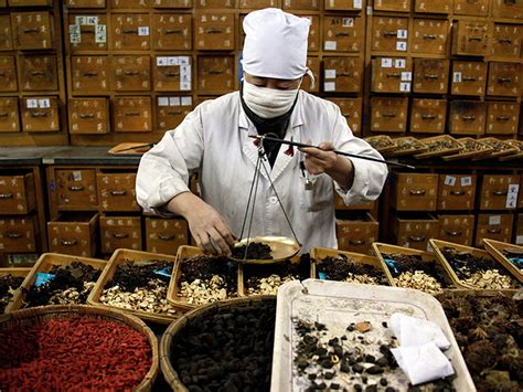 中西医执业助理医师考试课程
