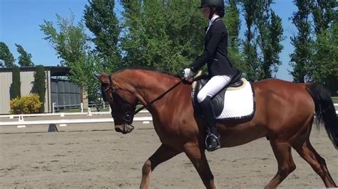 2019一级建造师真题解析课程