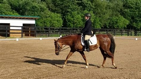 2019一级建造师精讲课程