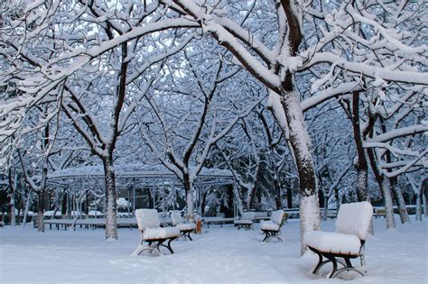 北京师范大学专/本自考课程