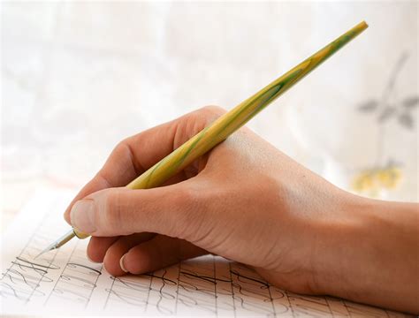 少儿软笔书法特色辅导课程