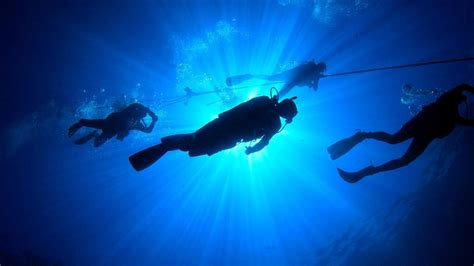 西餐主厨专业特色课程