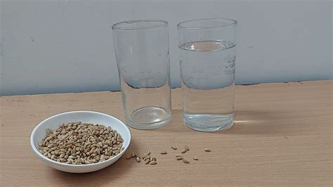 初三全科1对1精品课程