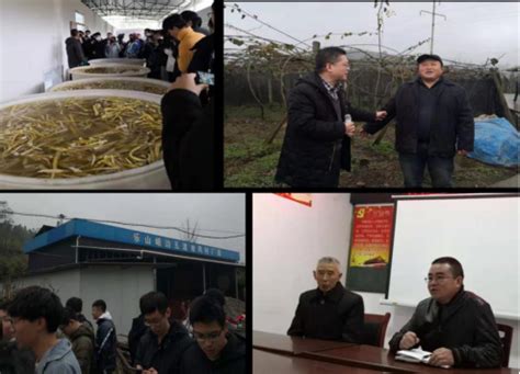西南交大网教课程