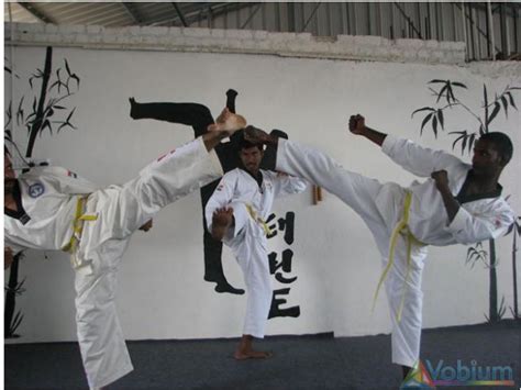 少儿跆拳道精品课程