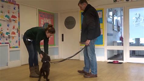 高二全科1对1培训课程