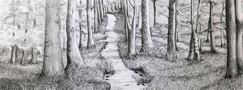 学生美术素描色彩兴趣课程