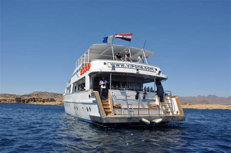 SAT vip一对一课程