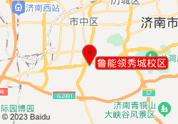 鲁能领秀城校区