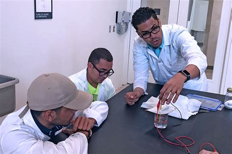 UCLA探索工程学科暑期科学营