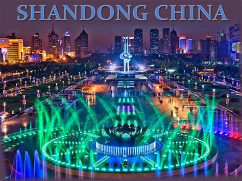 山东大学高起专/专升本网络课程