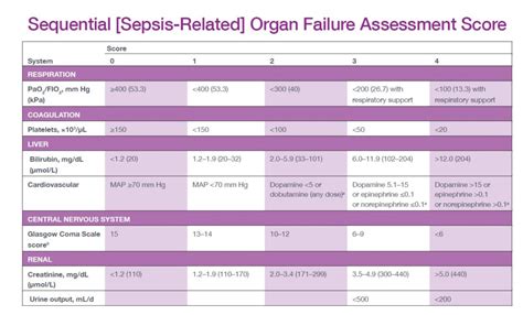 SSAT1对1高分集训课程