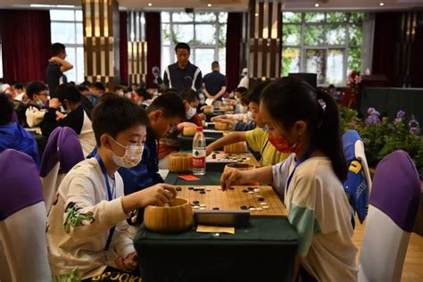 少儿围棋段位课程