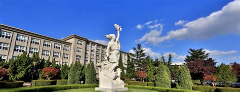 东北财经大学网络教育课程