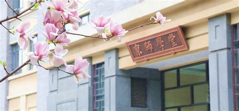 北京师范大学网络教育课程