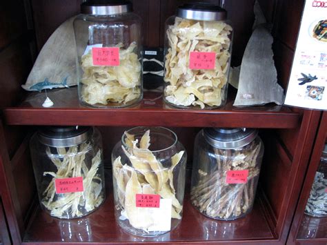 中医美容精品课程
