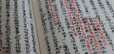 小学语文阅读写作初级课程