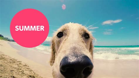 小学特色暑托课程