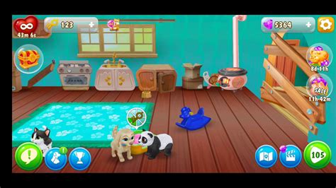 公共英语PETS等级培训课程