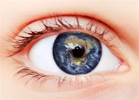 注意力记忆力训练