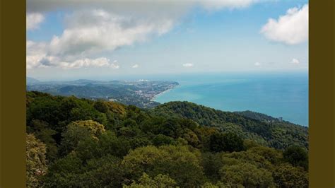 情感力特色训练