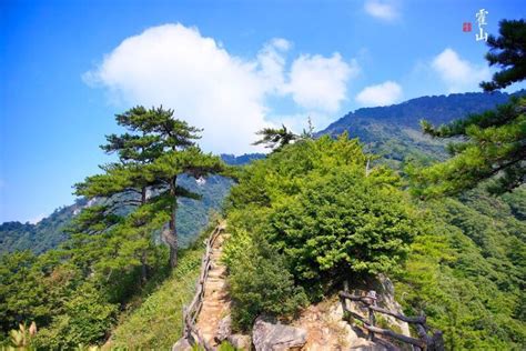 大别山变形计生存挑战夏令营