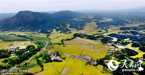 大别山野外求生特训夏令营