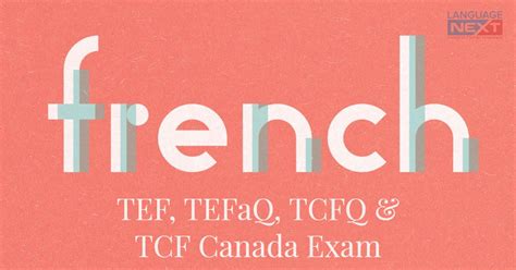 法语TEF/TCF考试精品课程