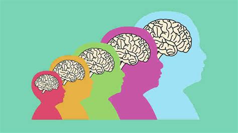 2-6岁幼儿全脑开发课程