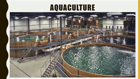 高职对口单招课程