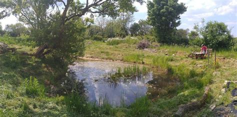 水彩特色强化美术课程