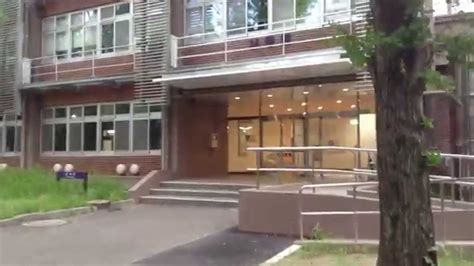 日本大学动漫课程