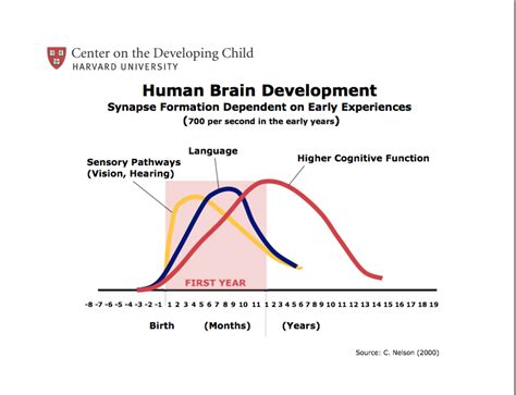 1-6岁幼儿全脑开发课高级课程