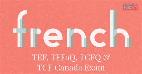 法语TCF/TEF考试强化课程
