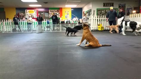 米罗小小班美术课程