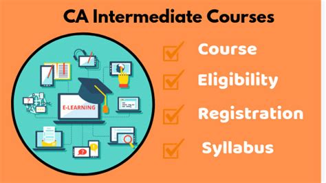 西班牙语中级课程