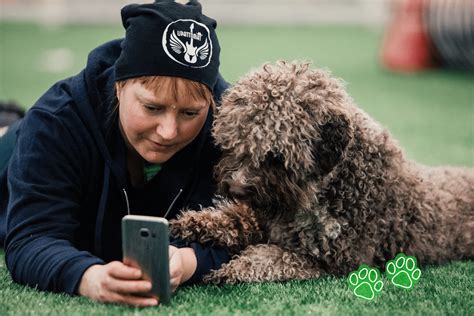 SATVIP1对1全程指导课程